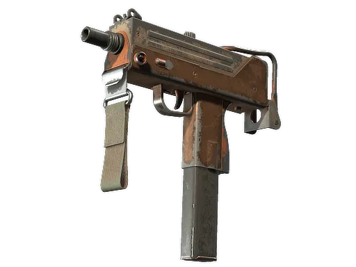 Skin's image