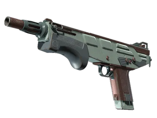 Skin's image