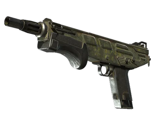 Skin's image