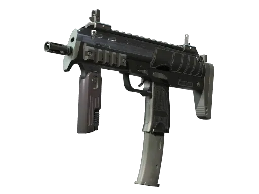 Skin's image
