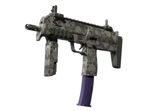 Skin's image