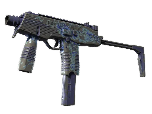 Skin's image