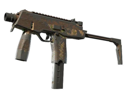 Skin's image
