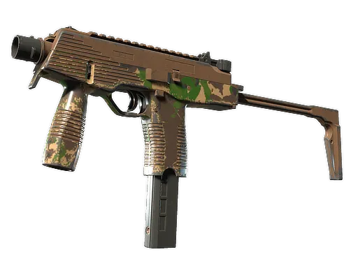 Skin's image