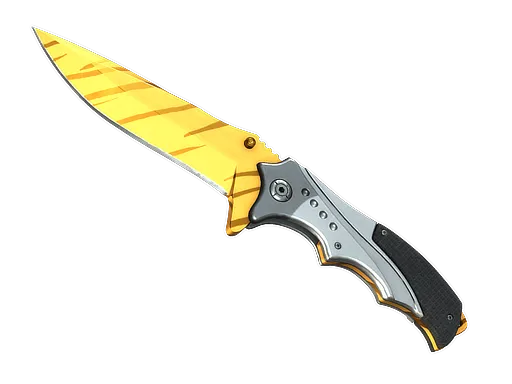 Skin's image