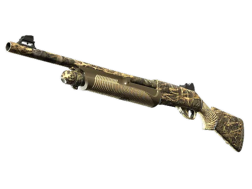 Skin's image