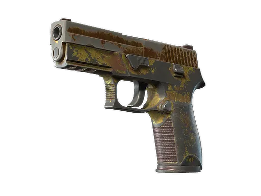 Skin's image