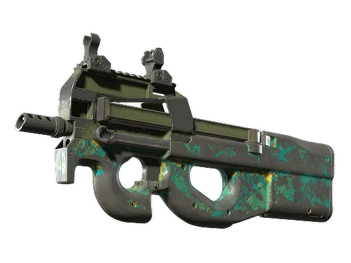 Skin's image