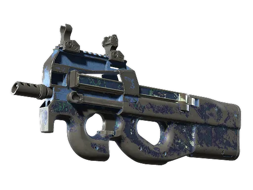 Skin's image