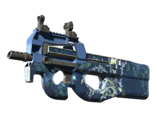 Skin's image