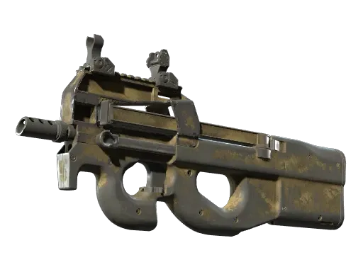 Skin's image