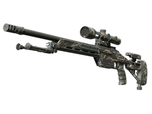 Skin's image