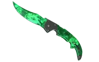 Skin's image