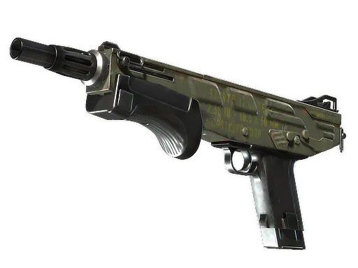 Skin's image