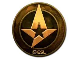 Skin's image