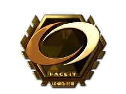 Skin's image
