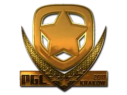 Skin's image
