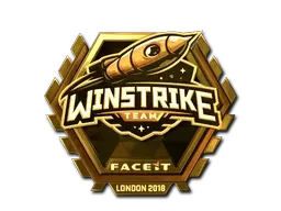 Skin's image