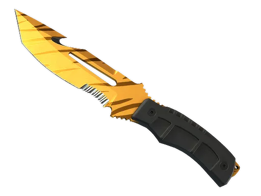 Skin's image