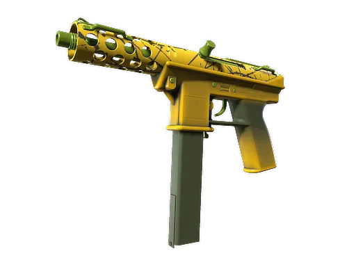 Skin's image