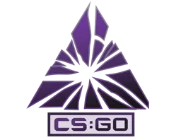 Skin's image