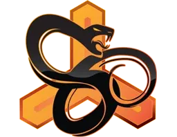 Skin's image