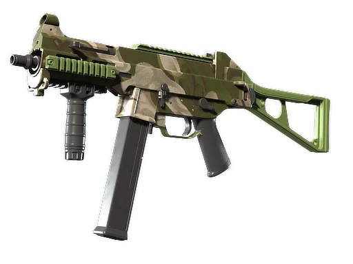 Skin's image