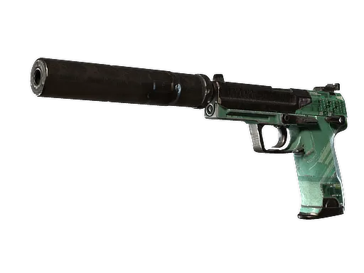 Skin's image