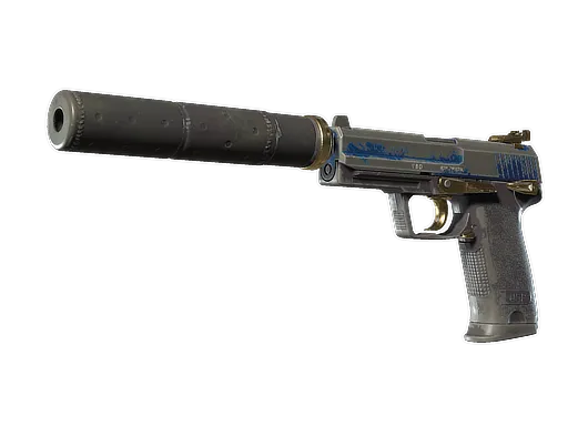 Skin's image