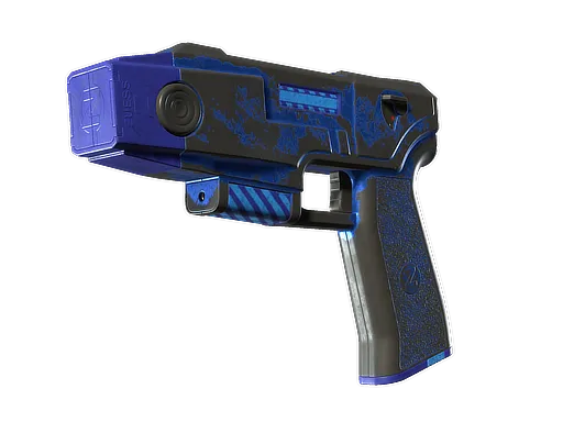 Skin's image