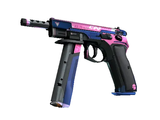 Skin's image