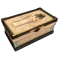 Skin's image