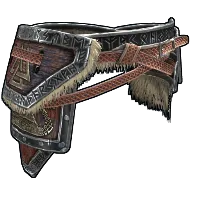 Skin's image