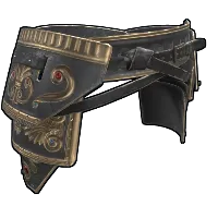 Skin's image