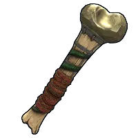 Skin's image