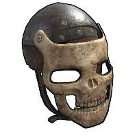Skin's image