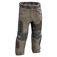 Skin's image