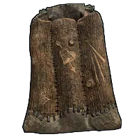 Skin's image