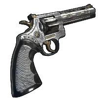 Skin's image