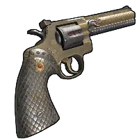 Skin's image