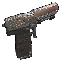 Skin's image