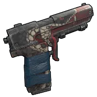 Skin's image