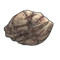 Skin's image