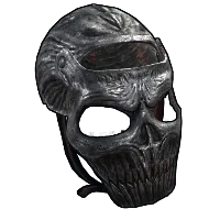 Skin's image