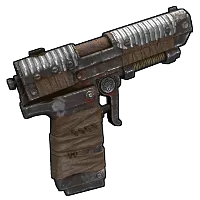 Skin's image