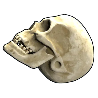 Skin's image