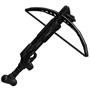 Skin's image