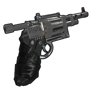 Skin's image