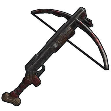 Skin's image