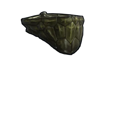 Skin's image